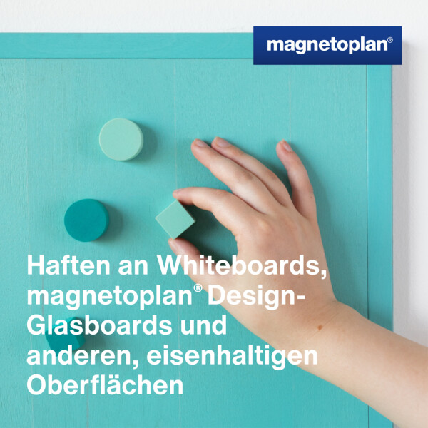 magnetoplan Neodym-Magnete Wood Series Cube, farbig