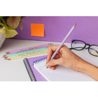 BIC Bleistift Evolution PASTEL, Härtegrad: HB, sortiert