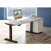 kerkmann Sitz-Steh-Schreibtisch Move 4, (B)1.200 mm