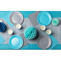 PROnappe Papp-Teller, rund, 230 mm, silber