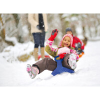 EDA Schaufelschlitten, Kunststoff, farbig sortiert