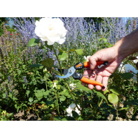 Garten PRIMUS Ersatzfeder für Damen-Gartenschere