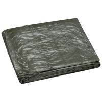 WESTEX Gewebeplane mit Ösen, 2 x 3 m, grün, 75 g