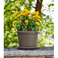 tera Untersetzer "Aura Round", Durchm.: 240 mm, anthrazit