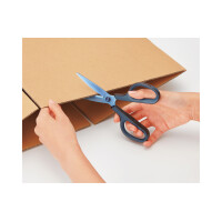 PLUS JAPAN Universalschere FITCUT CURVE Titanium, blau