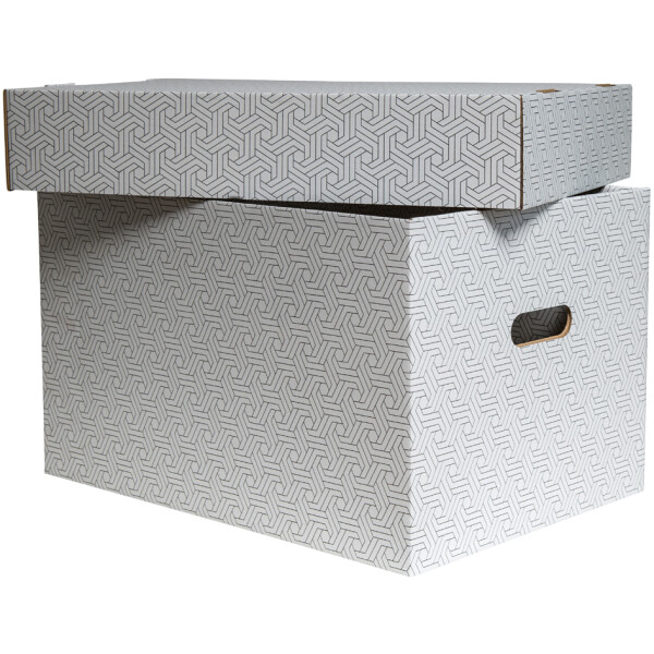 SMARTBOXPRO Aufbewahrungsbox, groß, weiß grau