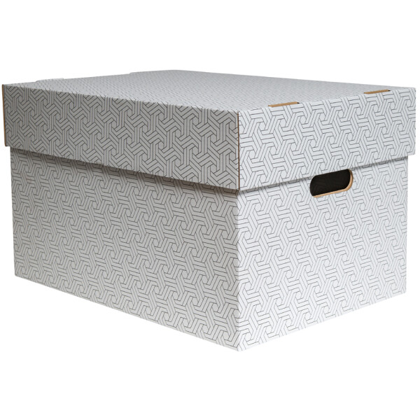 SMARTBOXPRO Aufbewahrungsbox, groß, weiß grau