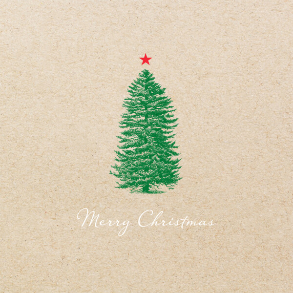 PAPSTAR Weihnachts-Motivservietten "X-Mas Trees"
