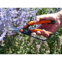 Garten PRIMUS Ersatzfeder für kleine Buchsbaumschere