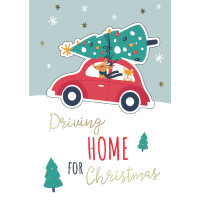 CACTUS Weihnachtskarte "Auto"