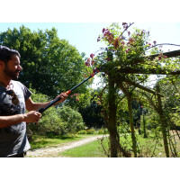 Garten PRIMUS Ersatzfeder für Schneidgiraffe Rosenkavalier