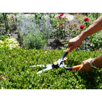 Garten PRIMUS Ersatzfeder für große...