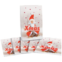 CACTUS Weihnachts-Papiertüte...