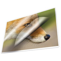 kangaro Laminierfolientasche, DIN A4, glänzend, 250 mic