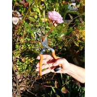 Garten PRIMUS Ersatzfeder für...