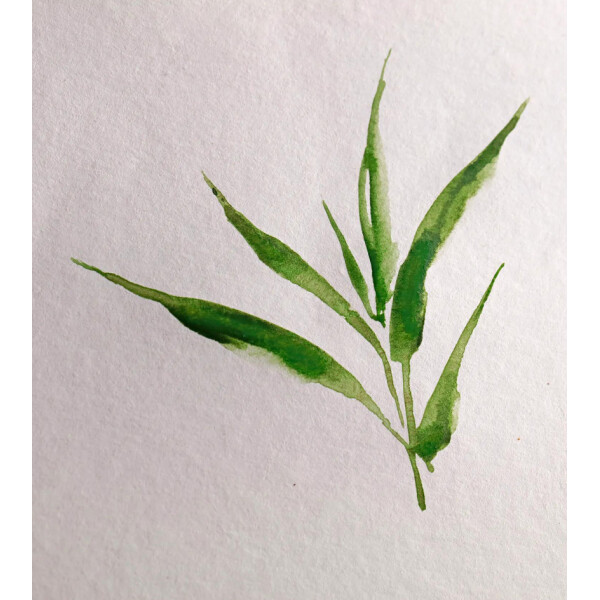 Clairefontaine Aquarellblock BAMBOO, DIN A4, 250 g qm