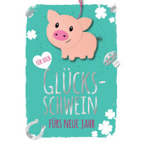 CACTUS Neujahrskarte mit Filzschwein