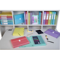 EXACOMPTA Fächertasche Chromaline, 13 Fächer,...