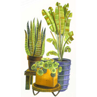 COPIC Marker ciao "LAYER & MIX Starter...