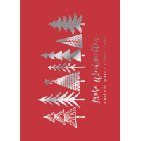 CACTUS Weihnachtskarte "Geschenke"