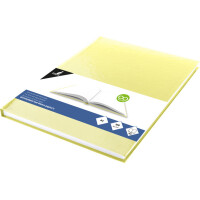 kangaro Skizzenbuch, 80 Blatt, DIN A4, pastell-blau