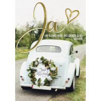 CACTUS Hochzeitskarte "Pastellblauer Käfer"