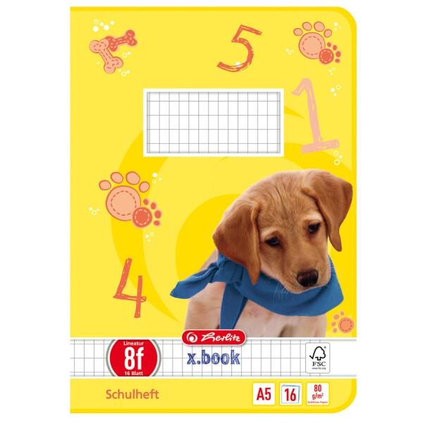 herlitz Schulheft x.book, DIN A5, Lineatur 9 liniert