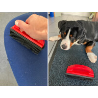 IWH Tierhaarbürste Gummibürste, rot
