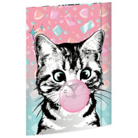 RNK Verlag Zeichnungsmappe "Sweet Cat", Karton,...