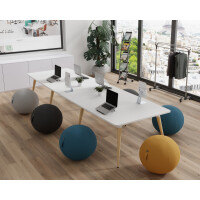 ALBA Sitzball "MHBALL", beige