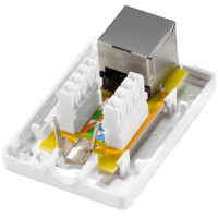 LogiLink Anschlussdose Kat.6A mit Aufputzbox, 1x RJ45,...
