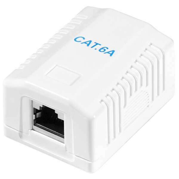 LogiLink Anschlussdose Kat.6A mit Aufputzbox, 2x RJ45, weiß