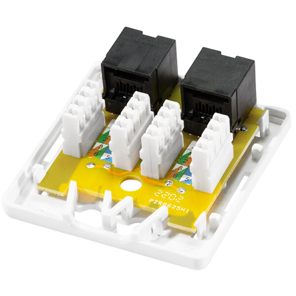 LogiLink Anschlussdose Kat.6A mit Aufputzbox, 2x RJ45, weiß