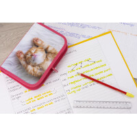 EBERHARD FABER Schüleretui Katze, 42-teilig