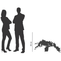 PAPERFLOW Kunstpflanze "Efeu", Höhe: 800 mm