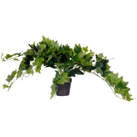 PAPERFLOW Kunstpflanze "Efeu", Höhe: 800 mm