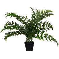 PAPERFLOW Kunstpflanze "Farn", Höhe: 550 mm