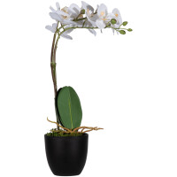 PAPERFLOW Kunstpflanze "Orchidee", rose,...