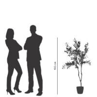 PAPERFLOW Kunstpflanze "Olivenbaum", Höhe:...