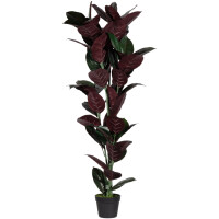 PAPERFLOW Kunstpflanze "Gummibaum", Höhe:...