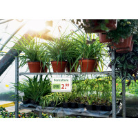 DURABLE Plakattasche wasserdicht, DIN A5, inkl. Kabelbinder