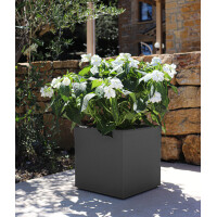 EDA Pflanzgefäß BASALT UP, quadratisch, 295...