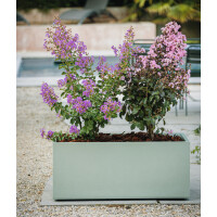 EDA Pflanztrog BASALT UP, Länge: 795 mm, anthrazit