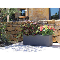 EDA Pflanztrog BASALT UP, Länge: 795 mm, anthrazit