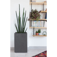 EDA Pflanzsäule BASALT UP, Höhe: 495 mm, anthrazit