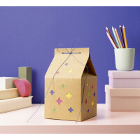 folia Laternen-Bastelset MILKY WAY