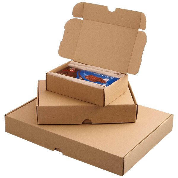 SMARTBOXPRO Maxibriefkarton, (B)241 x (T)160 x (H)80 mm