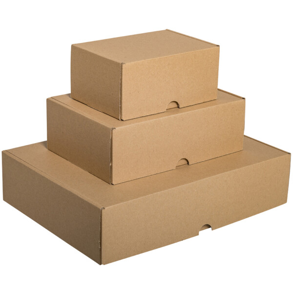 SMARTBOXPRO Maxibriefkarton, (B)176 x (T)118 x (H)80 mm