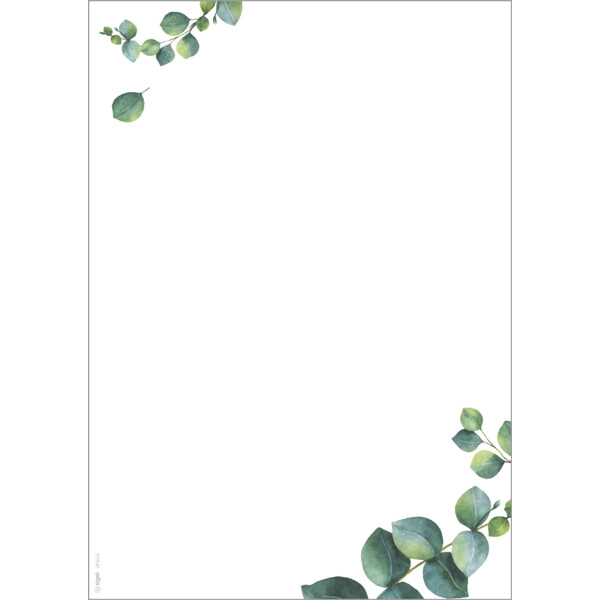 sigel Design-Papier "Eucalyptus", DIN A4, 90 g qm, 2-spaltig