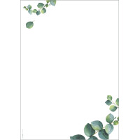 sigel Design-Papier "Eucalyptus", DIN A4, 90 g qm, 2-spaltig